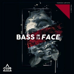 Bass in Ya Face, Vol. 11