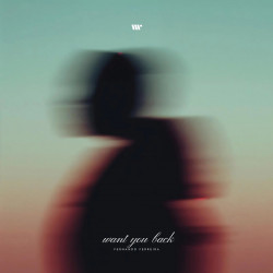 Want You Back