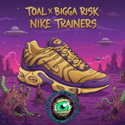 Nike Trainers 