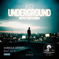 Roof, Vol. 8