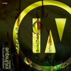 inUnique, Vol. 1
