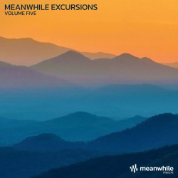 Meanwhile Excursions, Vol. 5
