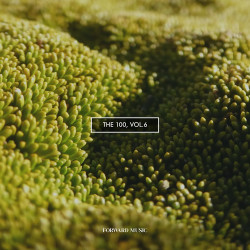 The 100, Vol. 6