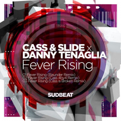 Fever Rising (The Remixes)
