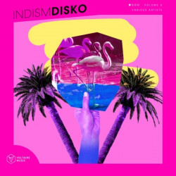 Indism Disko Vol 6
