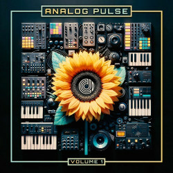 Analog Pulse Vol. 1