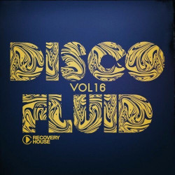 Disco Fluid, Vol. 16