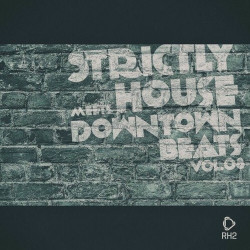 Strictly House Meets Downtown Beats, Vol.08