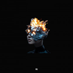 The Picture of Fire