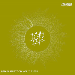 Redux Selection, Vol. 11 / 2025