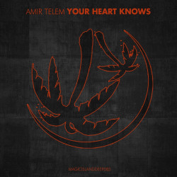 Your Heart Knows