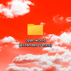 open world 