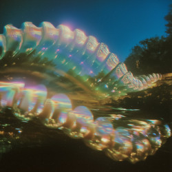 Macro Plastic 