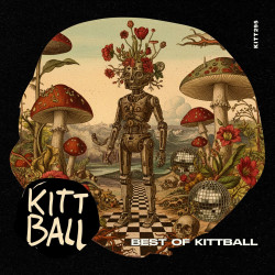 Best Of Kittball 2025