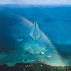 Morpho / Seashell