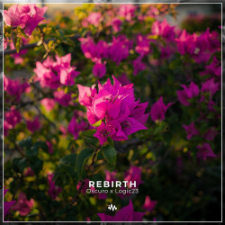 Rebirth