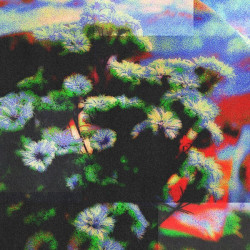 Neon Garden EP