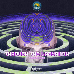 Through the Labyrinth