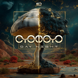 Day Night