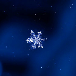 Winter Nights (Ambient, Focus, Meditation, Sleep)  
