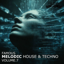  Famous Melodic House and Techno, Vol. 7  