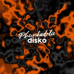 Phunkadelic Disko, Vol. 17  
