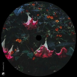 5 Years 04177 Records  