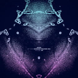 Gift Shop (Homemade Weapons Rmx) / Racture VIP