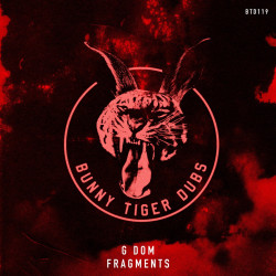 Fragments