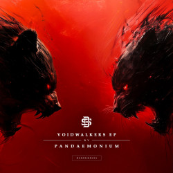 Voidwalkers 