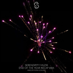 Serendipity Muzik - End Of The Year Recap 2025