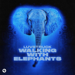 Walking With Elephants