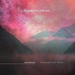 Tassolem (Don't Worry 'bout Me) (Guy J Remix)