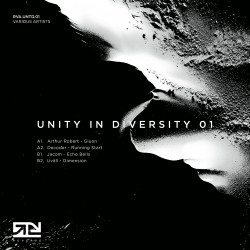 UNITY IN DIVERITY 01