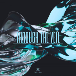 Through The Veil 