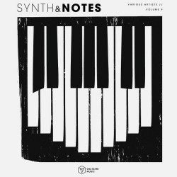 Synths & Notes, Vol. 9  