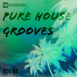 Pure House Grooves, Vol. 03  