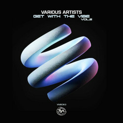 Get with the Vibe, Vol. 2  