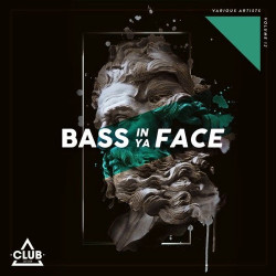 Bass in Ya Face, Vol. 12  