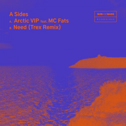 Arctic VIP / Need (Trex Remix)