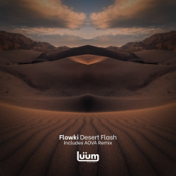 Desert Flash
