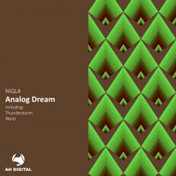 Analog Dream