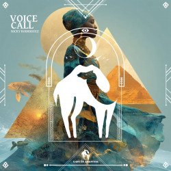 Voice Call