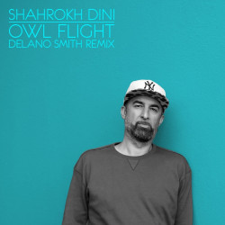 Owl Flight (Delano Smith Remix) (2026 Edit)