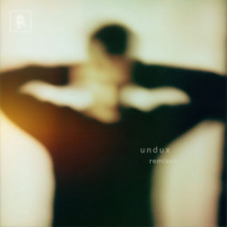 undux (The Remixes)