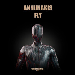 Fly
