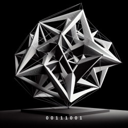 00111001