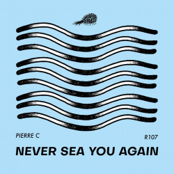 Never Sea You Again