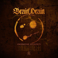 Embracing Adversity