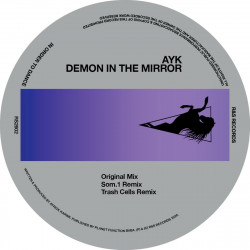 Demon In The Mirror